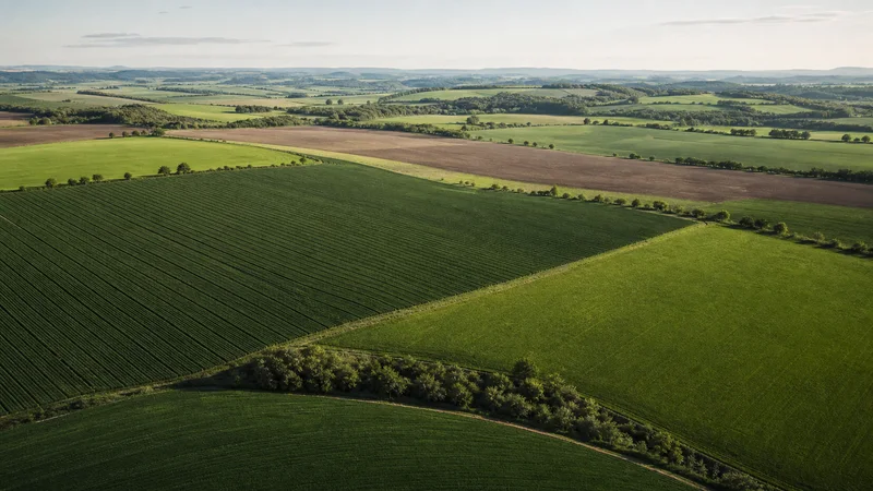 Agriculture
