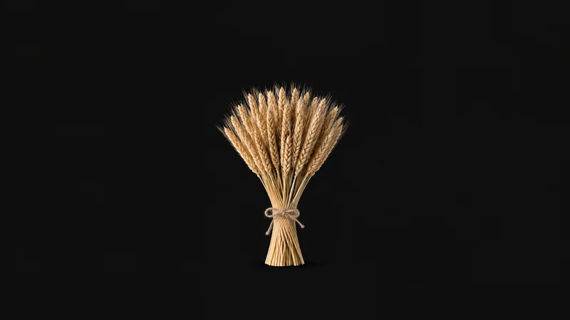 Isolated a bundle of winter-wheat ears bound with baling twine centred on a seamless deep charcoal near-black studio background, generous empty margin on every side for overlaid branding