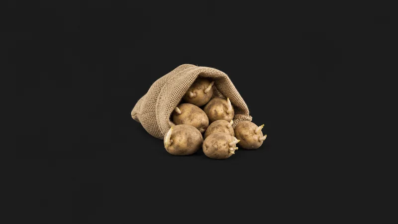 Isolated a hessian sack spilling seed potatoes with pale sprouting eyes centred on a seamless deep charcoal near-black studio background, generous empty margin on every side for overlaid branding