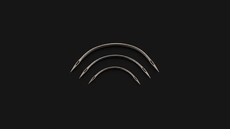 Isolated a curved double-pointed upholstery needle set centred on a seamless deep charcoal near-black studio background, generous empty margin on every side for overlaid branding