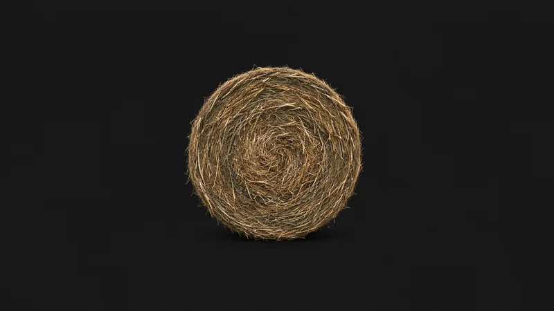 Isolated a cross-section slab of a round hay bale showing packed stems centred on a seamless deep charcoal near-black studio background, generous empty margin on every side for overlaid branding