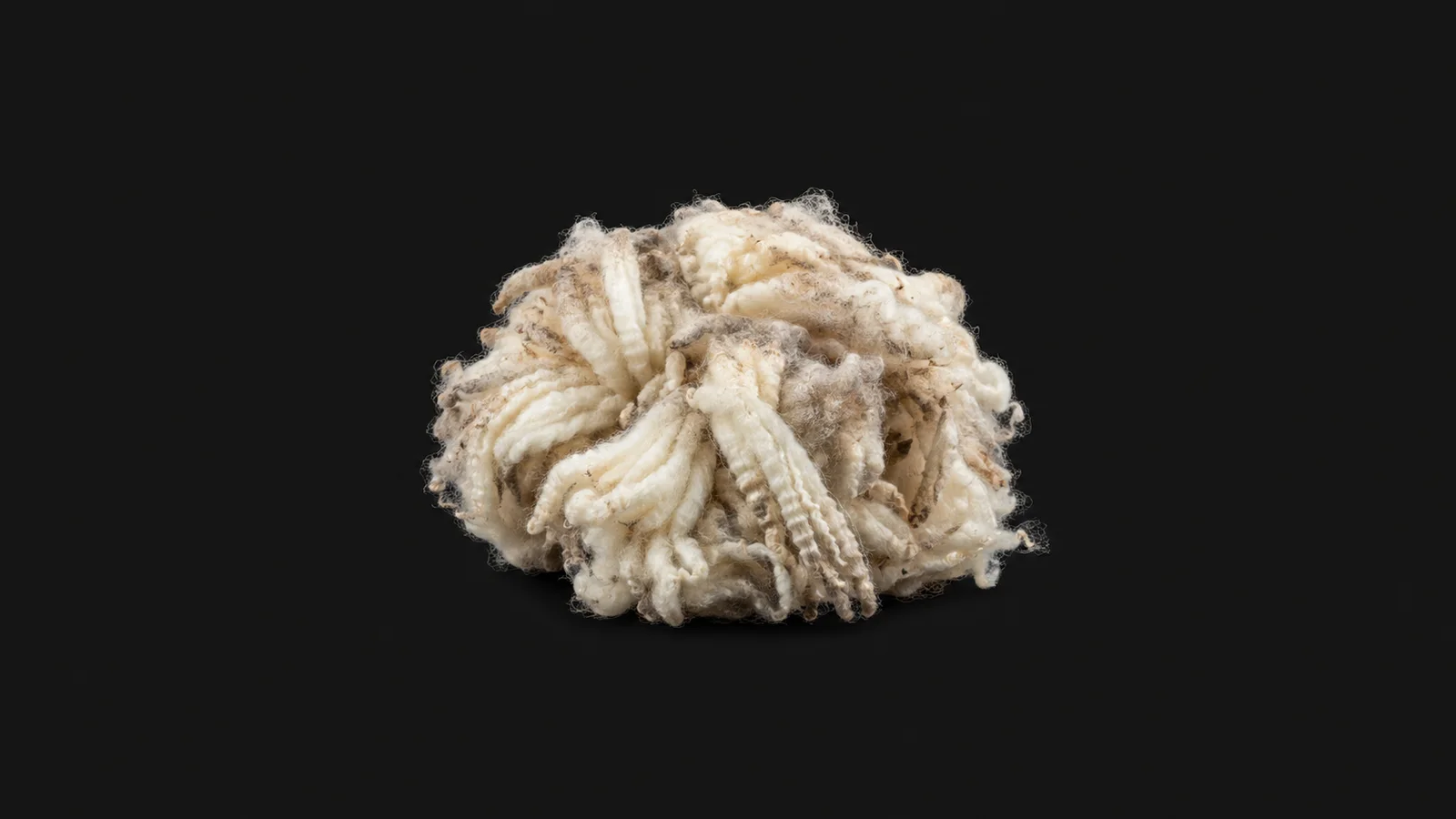 Isolated a bundle of raw wool fleece staples centred on a seamless deep charcoal near-black studio background, generous empty margin on every side for overlaid branding