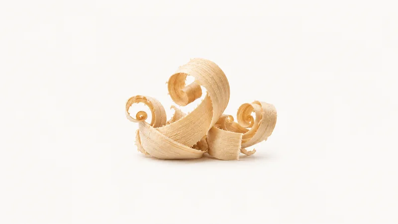 Abstract a nest of pale wood shavings curling from a plane motif centred on a seamless pale off-white studio background, generous empty margin for overlaid branding
