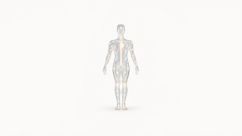 Abstract a translucent human-silhouette outline filled with flowing points of light motif centred on a seamless pale off-white studio background, generous empty margin for overlaid branding