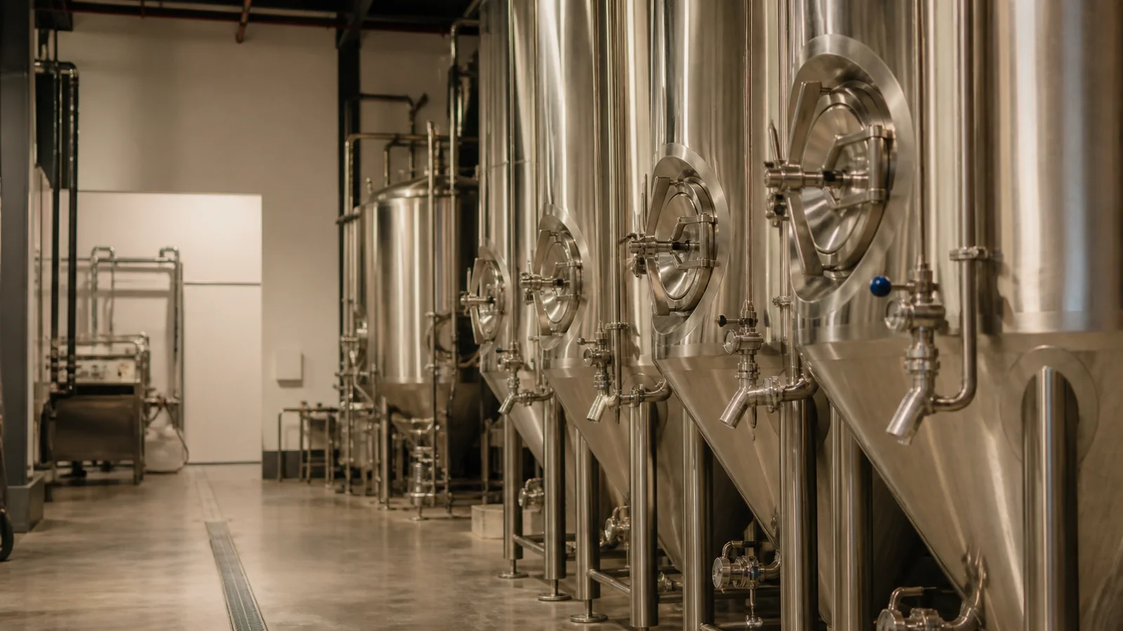 Close, clean detail of the rows of fermentation tanks, soft even indoor light, no people in frame