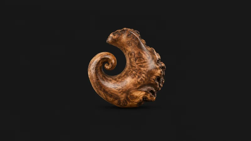 Abstract a swirl of burr-walnut grain figure filling the frame motif centred on a seamless deep charcoal near-black studio background, generous empty margin for overlaid branding