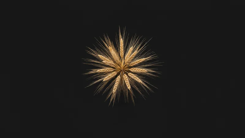 Abstract a radial burst of golden cereal awns from a single point motif centred on a seamless deep charcoal near-black studio background, generous empty margin for overlaid branding
