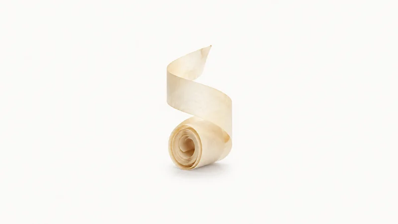 Abstract an unfurled ribbon of vellum spiralling into a tight bound scroll motif centred on a seamless pale off-white studio background, generous empty margin for overlaid branding