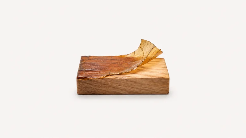 Abstract a peeling layer of old varnish lifting from a smooth timber plane motif centred on a seamless pale off-white studio background, generous empty margin for overlaid branding